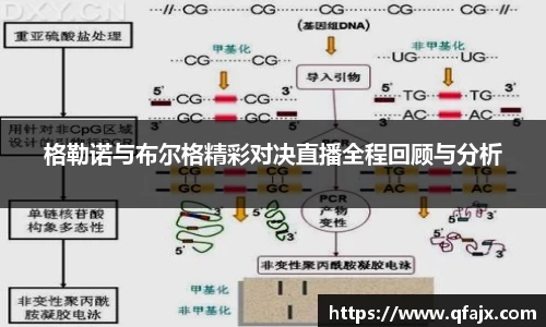 xk星空官方